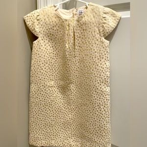 Toddler girls 5T Gap dress